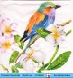 Preview: Kleiner bunter Vogel im blühenden Baum - 1 Cocktail Serviette